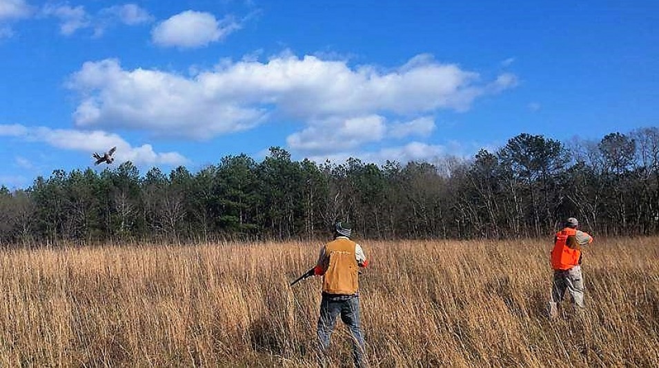 Toneycreekplantation upland hunt