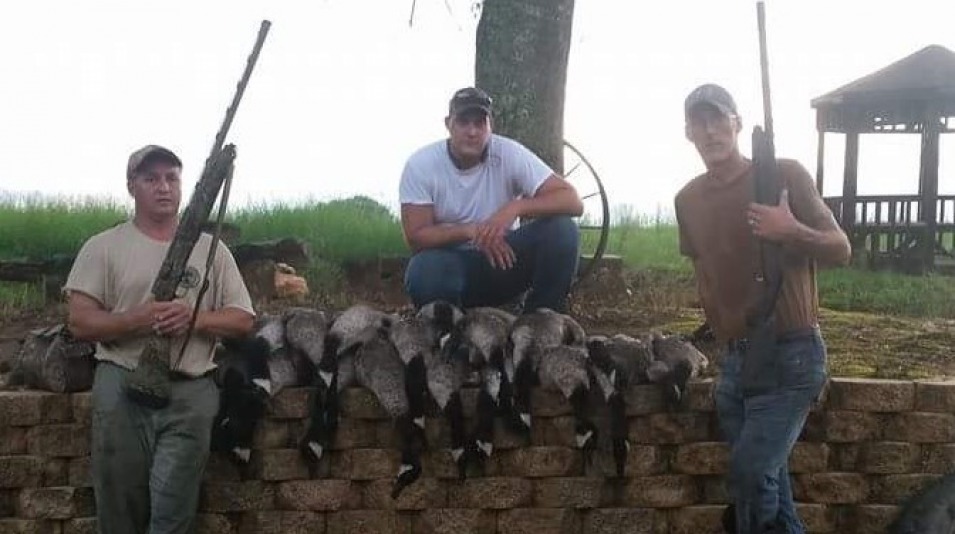 Toneycreekplantation Goose Hunt